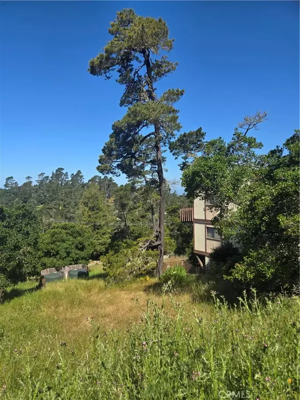 0 Pierce, Cambria, CA 93428