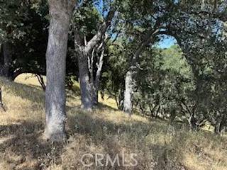 Bradley, CA 93426,2172 Ridge Rider