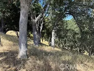 Lake Nacimiento, CA 93426,2172 Ridge Rider