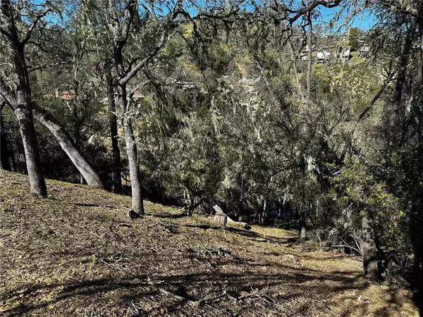 Bradley, CA 93426,8209 Woody Point