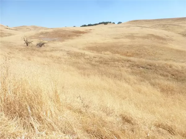 San Miguel, CA 93451,0 Douglas Rd. (Lot 43)