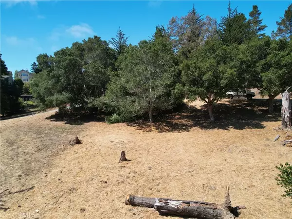 Cambria, CA 93428,0 Londonderry