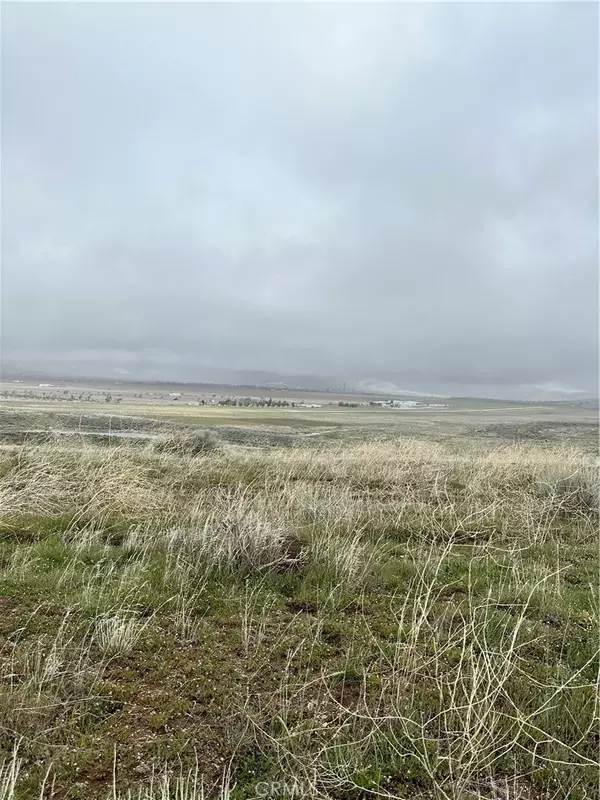 Tehachapi, CA 93561,0 Dotty