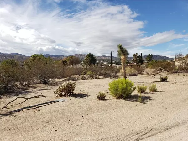 Yucca Valley, CA 92284,0 Warren