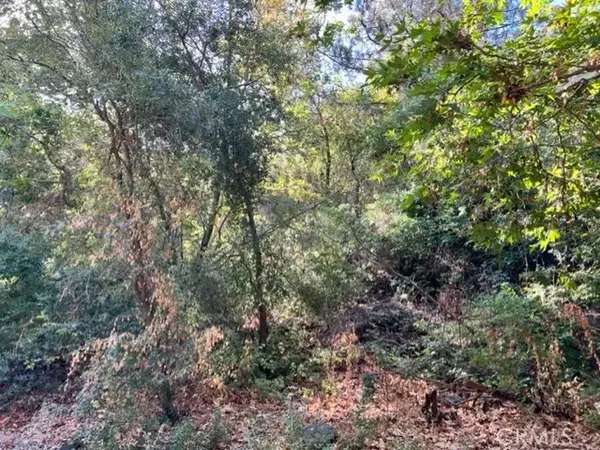 Silverado Canyon, CA 92676,30752 Silverado Canyon Rd