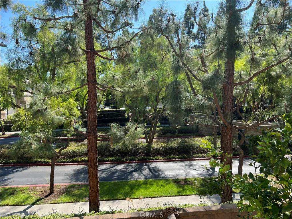 Irvine, CA 92618,5 Bluebell