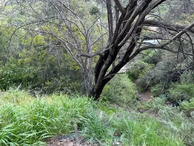 28000 Uppa, Silverado Canyon, CA 92676