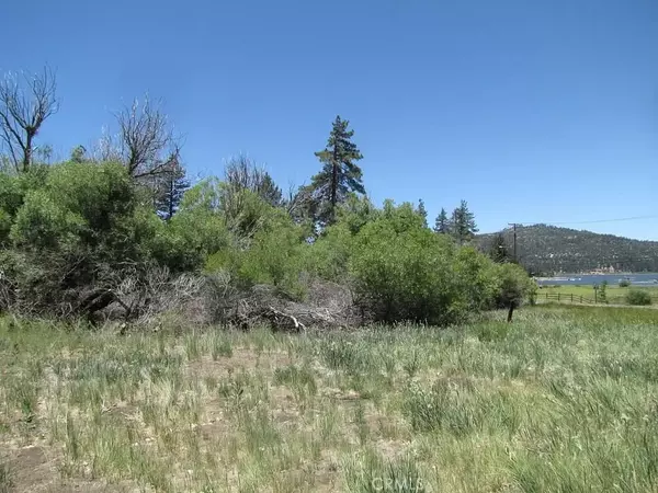 Big Bear City, CA 92315,108 Big Bear