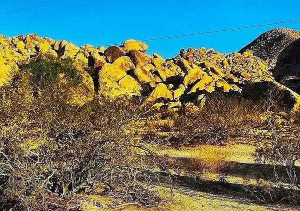 Joshua Tree, CA 92252,66058 Foothill