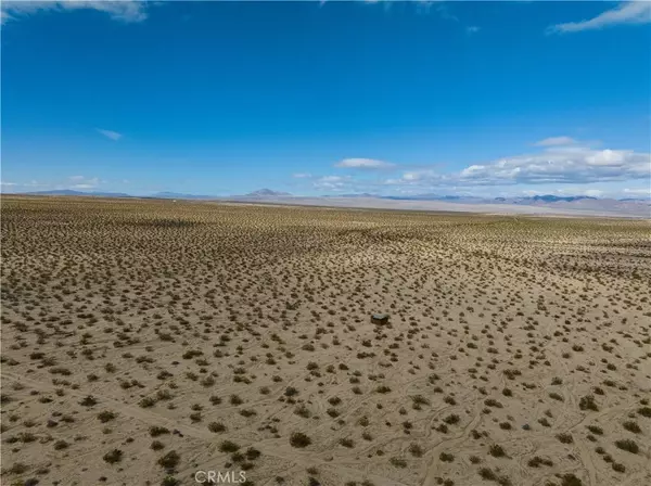 Joshua Tree, CA 92252,5 Tortoise