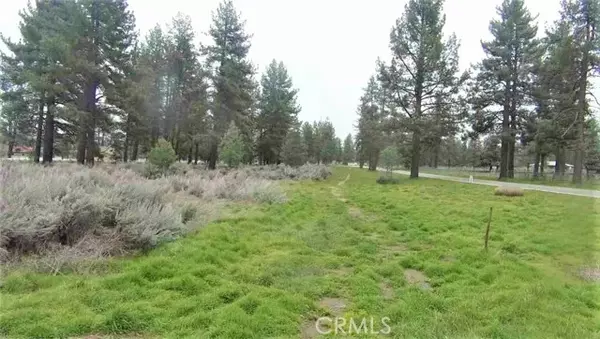 Mountain Center, CA 92561,0 Horse Canyon