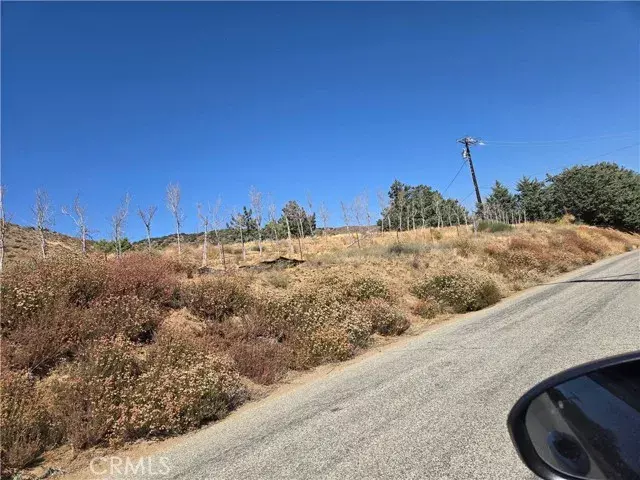 Leona Valley, CA 93551,9197 Northside