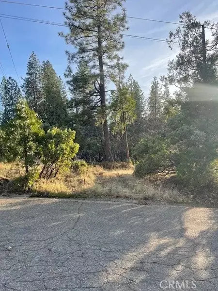 6172 Shad Way, Pollock Pines, CA 95726
