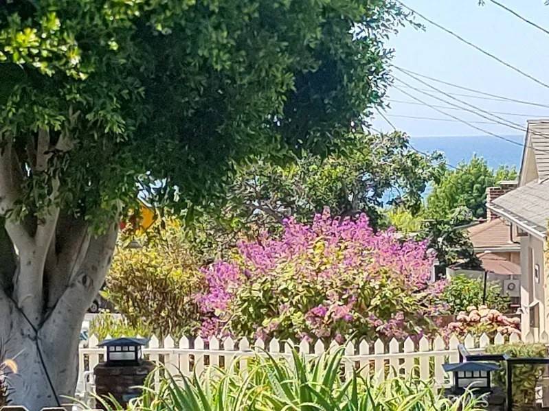 Laguna Beach, CA 92651,656 Thalia Street