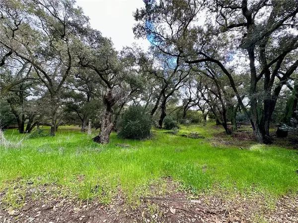 Trabuco Canyon, CA 92679,19334 Live Oak Canyon