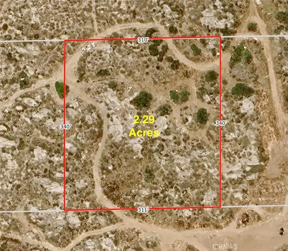 Homeland, CA 92548,43 Skunk