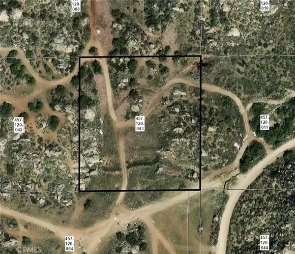 Homeland, CA 92548,43 Skunk