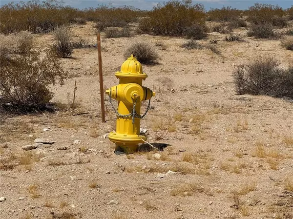 Joshua Tree, CA 92252,2849 Delaware