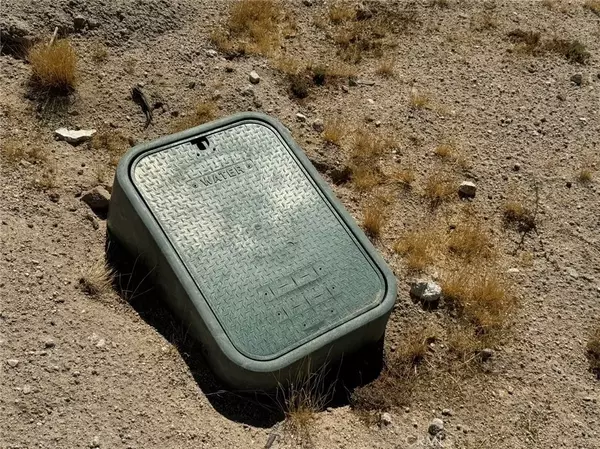 Joshua Tree, CA 92252,2849 Delaware