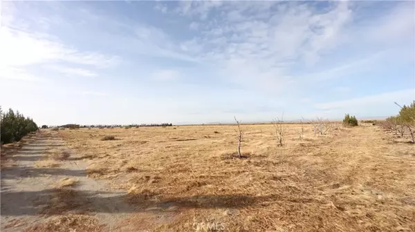 Pinon Hills, CA 92372,3002 Estero
