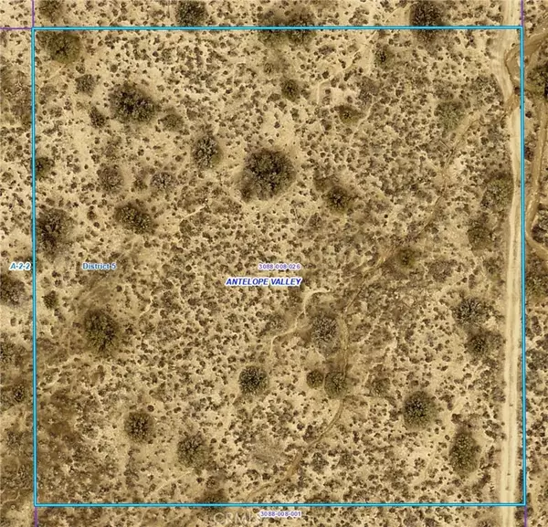 Llano, CA 93544,258 Avenue X