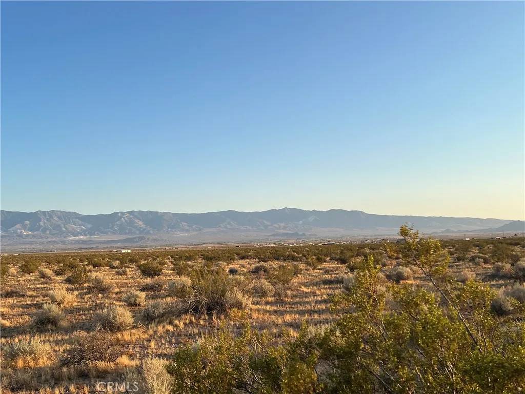 Lucerne Valley, CA 92356,0 Joshua