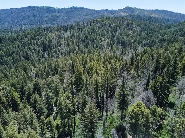 Boulder Creek, CA 95006,0 Lodge