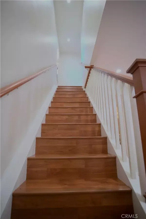 Irvine, CA 92604,10 Raleigh