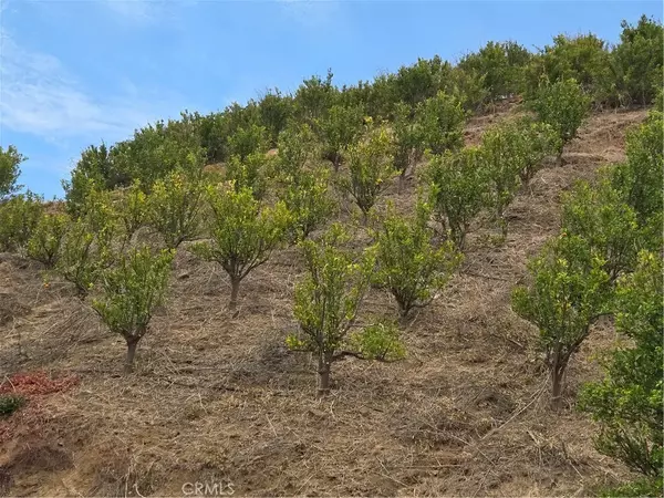 Temecula, CA 92590,45860 Calle Cuero