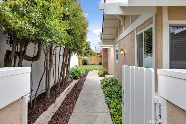 Irvine, CA 92604,29 Blackswan