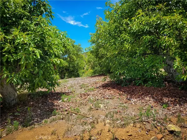 Temecula, CA 92590,5 Via Vaquero