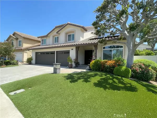 Aliso Viejo, CA 92656,17 Thornbird