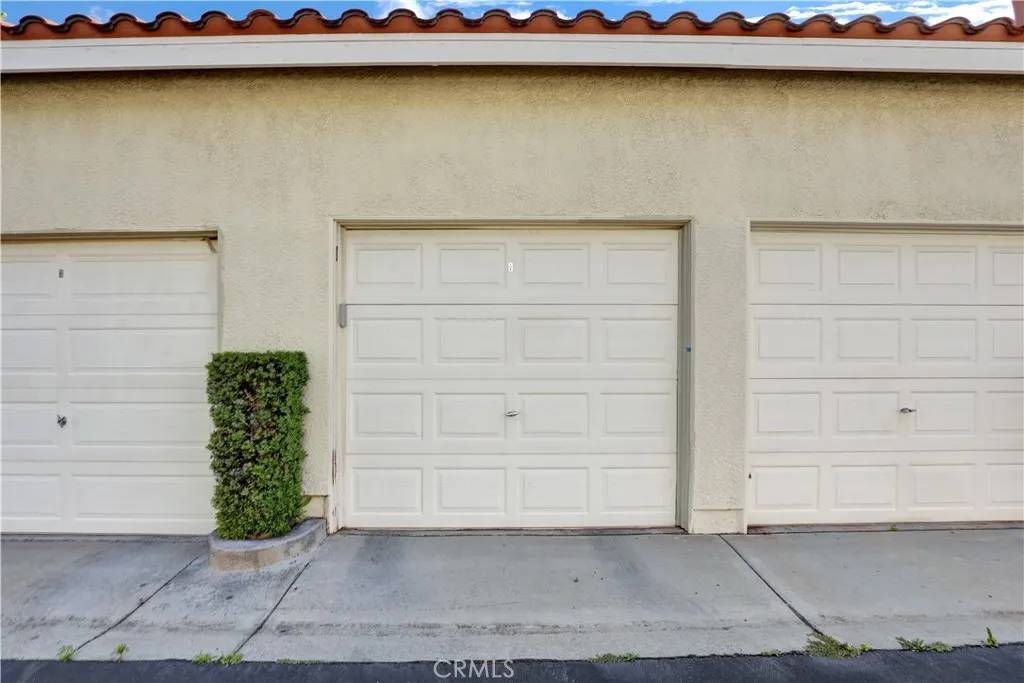 Aliso Viejo, CA 92656,94 Cinnamon Teal