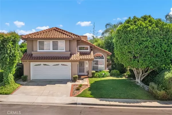 Rancho Santa Margarita, CA 92688,8 Danta