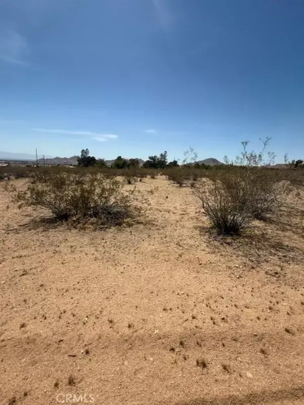 Apple Valley, CA 92307,0 Ocotilla