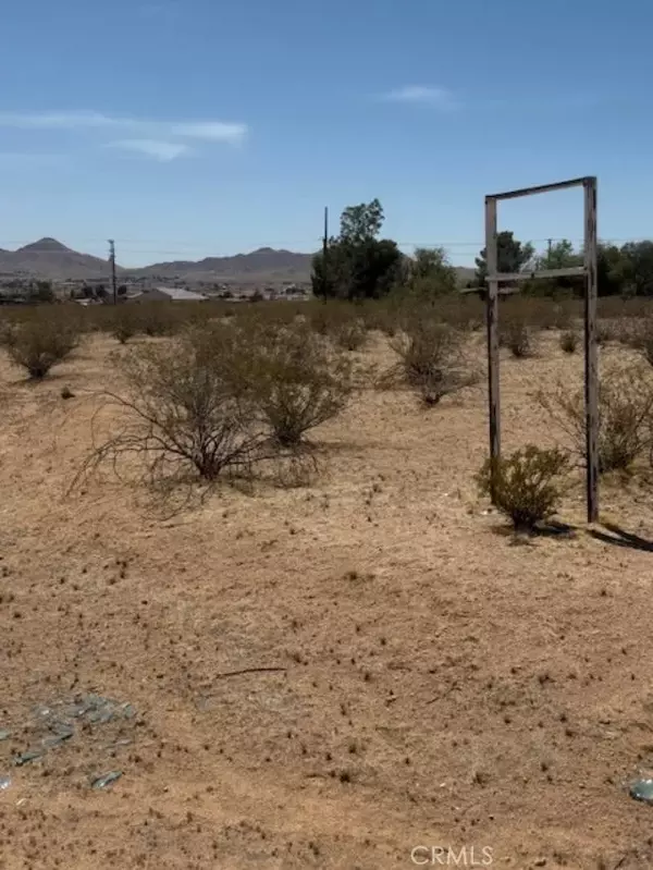 Apple Valley, CA 92307,0 Ocotilla