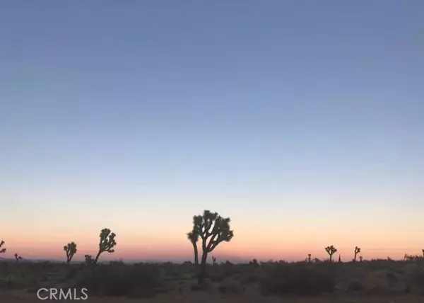 Phelan, CA 92371,0 Holly