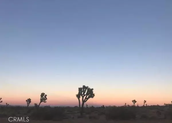 Phelan, CA 92371,0 Holly