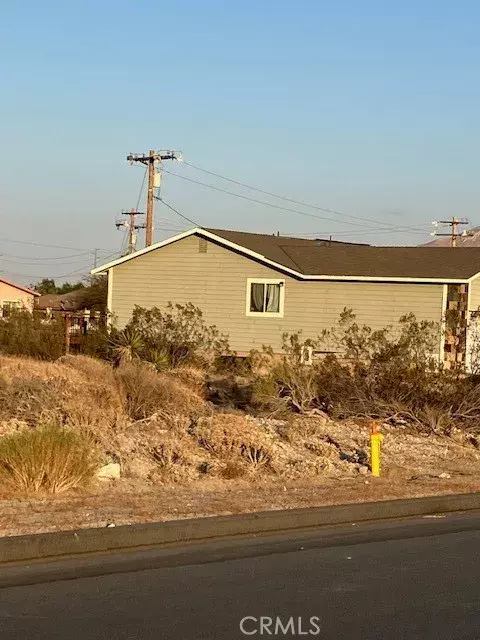 Whitewater, CA 92282,13388 Fremontia