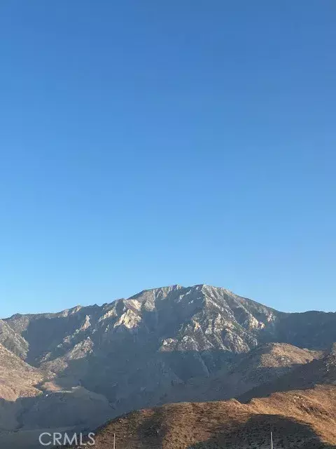 Whitewater, CA 92282,13329 Fremontia