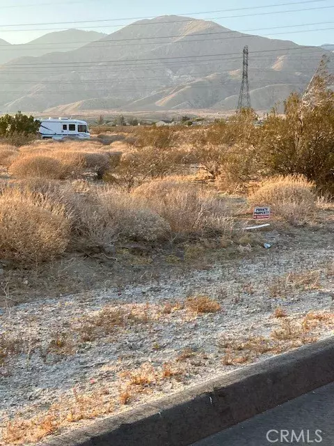 Whitewater, CA 92282,13329 Fremontia