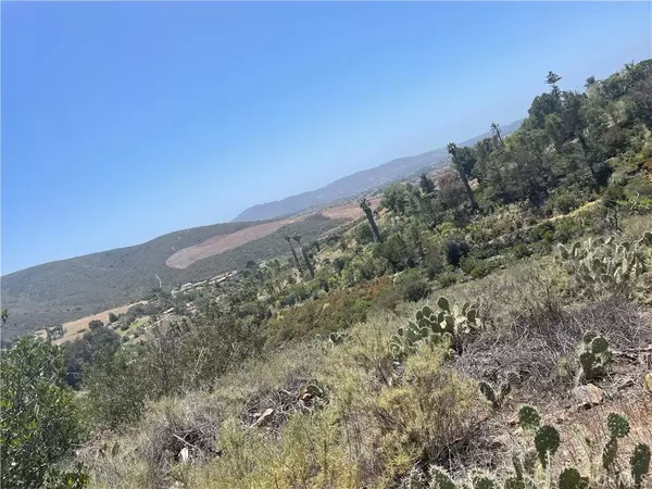 Vista, CA 92084,1624 Siddall