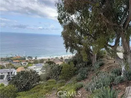Laguna Beach, CA 92651,31204 Ceanothus