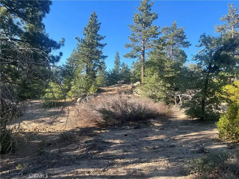 45 Deep Creek, Running Springs, CA 92382
