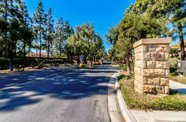 Irvine, CA 92618,8 Zinnia