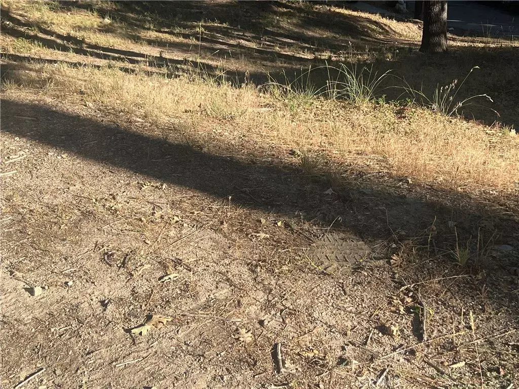 Running Springs, CA 92382,22 Deer Lick