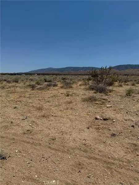 227 Vac/Cor, Llano, CA 93544