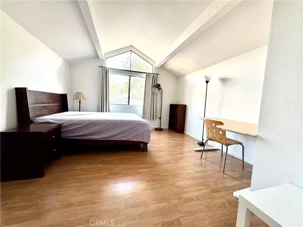 Irvine, CA 92614,20 springflower