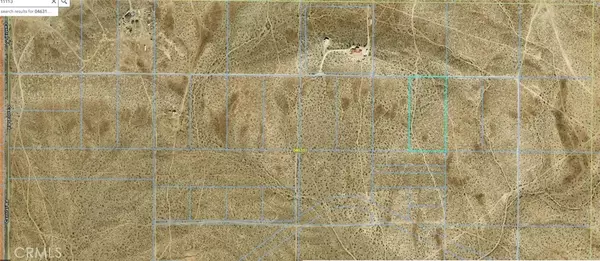 Apple Valley, CA 92307,0 Leaping Lizard