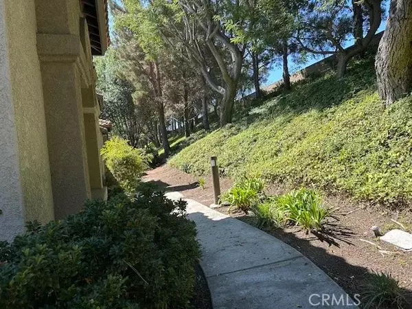 Aliso Viejo, CA 92656,24 Tamarac